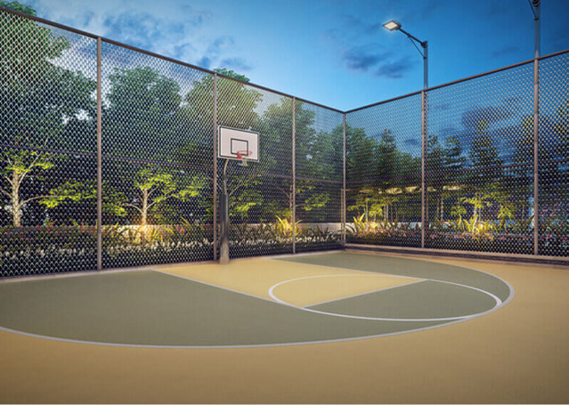 Half Basket Ball Ball Court